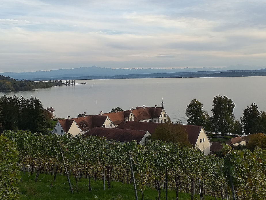 Erkundung von Heimerads Heimat Hilzingen, Hohentwiel, Konstanz, Birnau